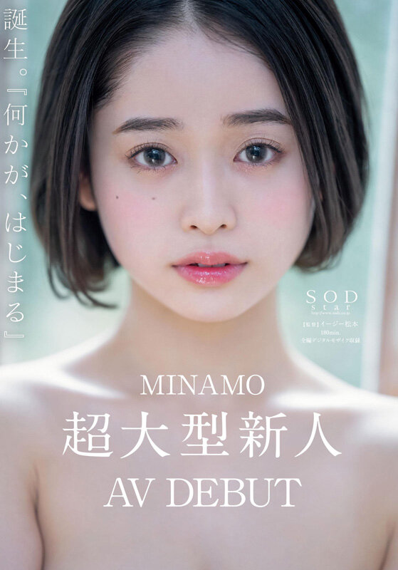 MINAMOのサンプル